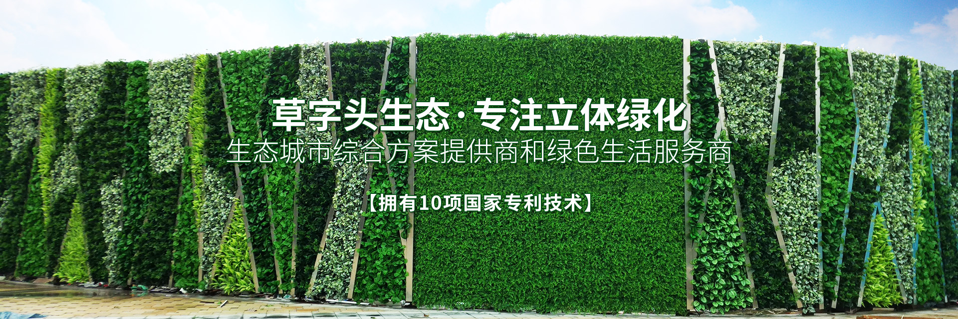 湖南草字頭生態環境建設有限公司|專注于生態修復和綠化環保事業 湖南草字頭生態環境建設有限公司|專注于生態修復和綠化環保事業